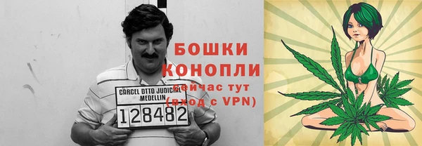 молекула духа Белоозёрский