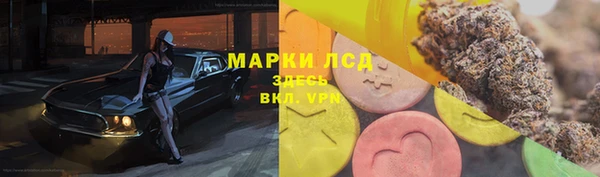 молекула духа Белоозёрский