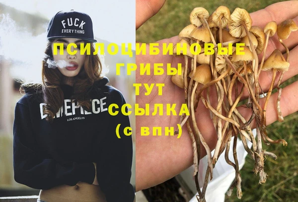 крисы Беломорск