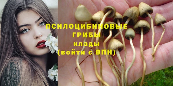 молекула духа Белоозёрский