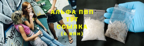 крисы Беломорск